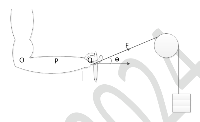 Diagram for GATE 2024 BM question 65