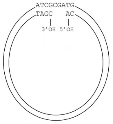 Diagram for GATE 2020 BT question 47