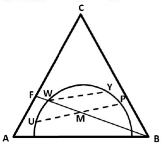 triangle A–B–C contains a binodal curve; the feed–solvent line F–B first enters the two-phase region at W. Dashed tie-lines connect W to Y and U through M to P.