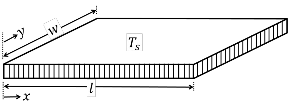 a thin plate with the length $l$ along $x$ and the width $w$ along $y$.