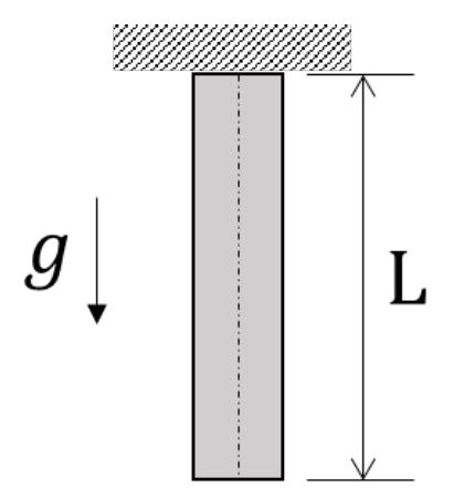 a vertical bar of length L hanging from a fixed support at its top end.