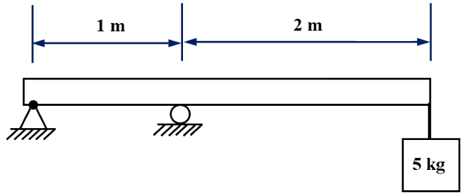 A beam on a pin support at the left and a roller support 1 m from it. The beam overhangs a further 2 m beyond the roller, and a 5 kg mass hangs from the free end.